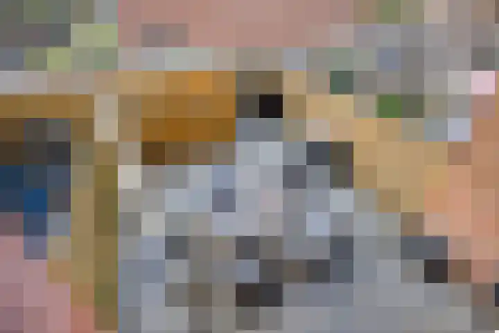 Salamanderweide 7 Pijnacker thumbnail 43
