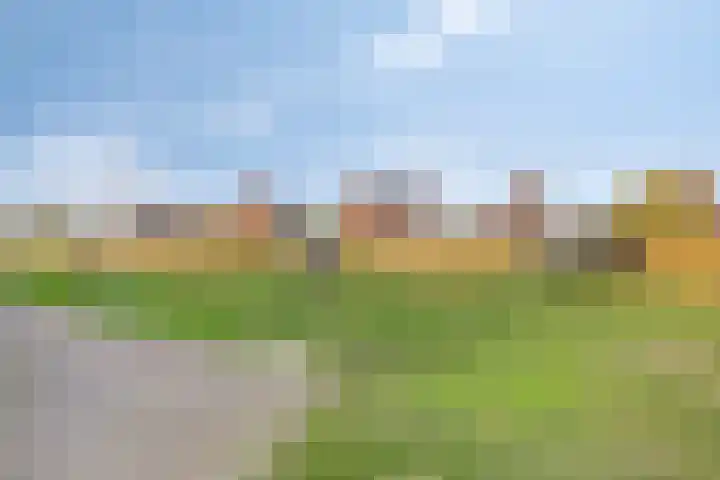 Salamanderweide 7 Pijnacker thumbnail 45