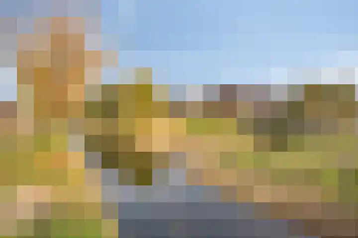 Salamanderweide 7 Pijnacker thumbnail 46