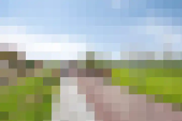 Salamanderweide 7 Pijnacker thumbnail 48
