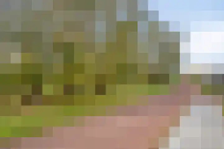 Salamanderweide 7 Pijnacker thumbnail 49