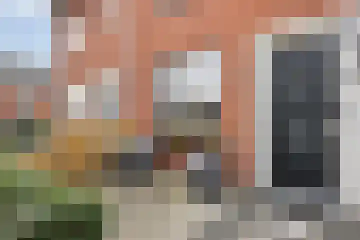 Salamanderweide 7 Pijnacker thumbnail 9