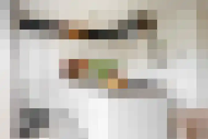 Salawatihof 1 Utrecht thumbnail 12