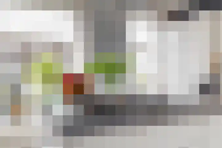 Salawatihof 1 Utrecht thumbnail 13