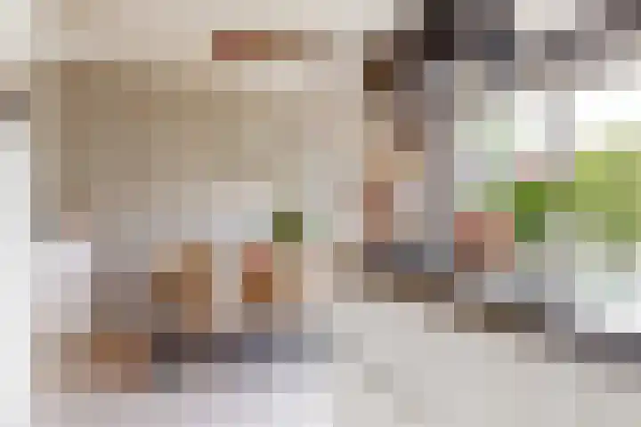 Salawatihof 1 Utrecht thumbnail 14