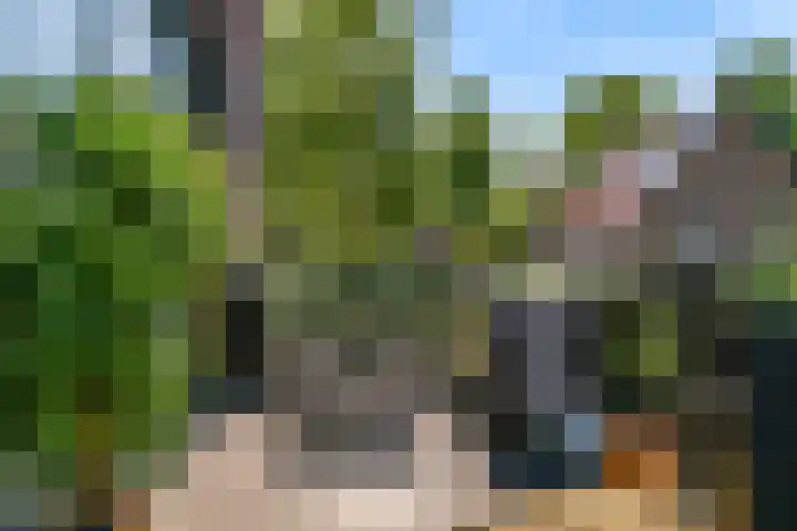 Salawatihof 1 Utrecht thumbnail 15