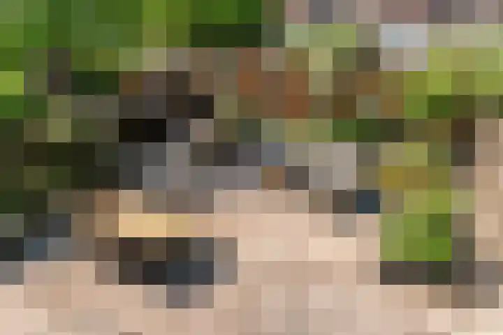 Salawatihof 1 Utrecht thumbnail 17