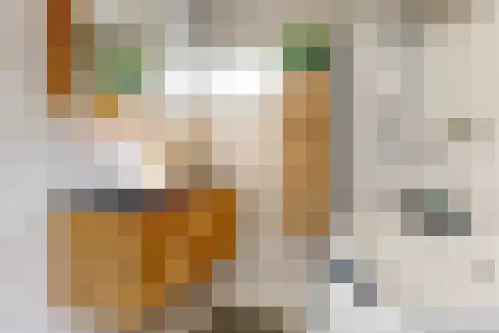 Salawatihof 1 Utrecht thumbnail 24