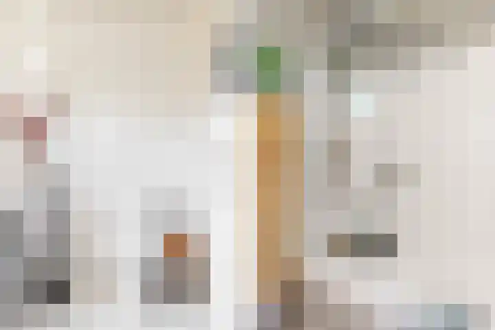 Salawatihof 1 Utrecht thumbnail 25