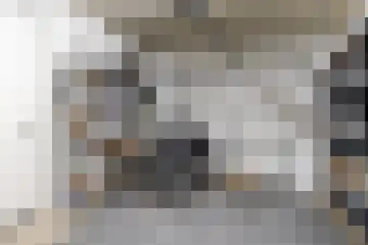 Salawatihof 1 Utrecht thumbnail 31