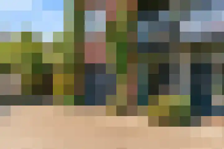 Salawatihof 1 Utrecht thumbnail 42