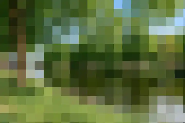 Salawatihof 1 Utrecht thumbnail 43