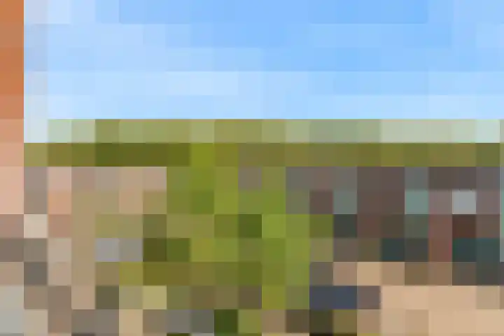 Salawatihof 1 Utrecht thumbnail 9