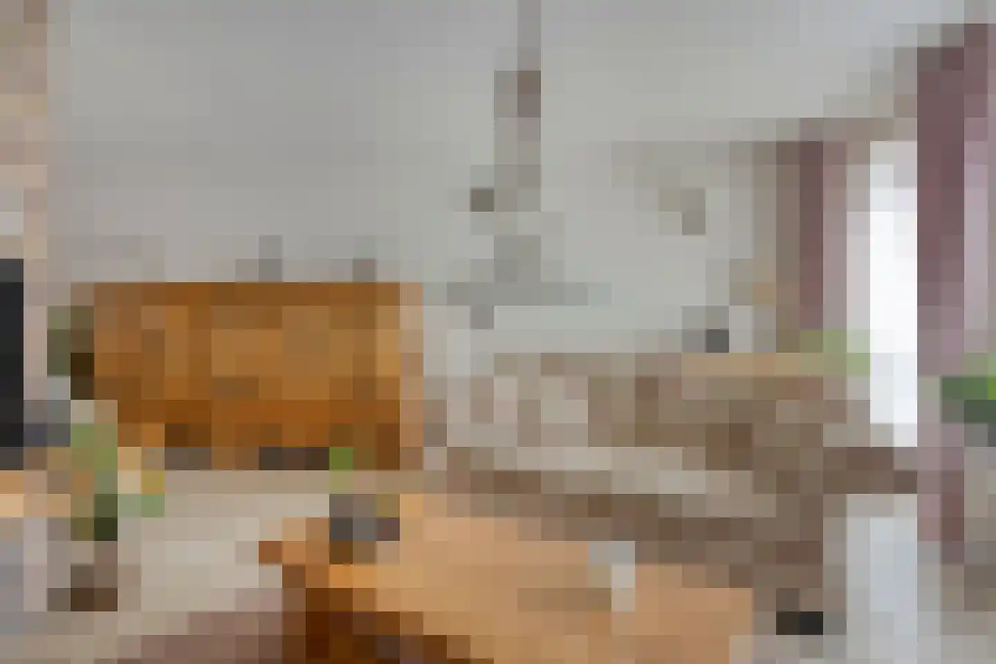 Salderes 103 Best thumbnail 14