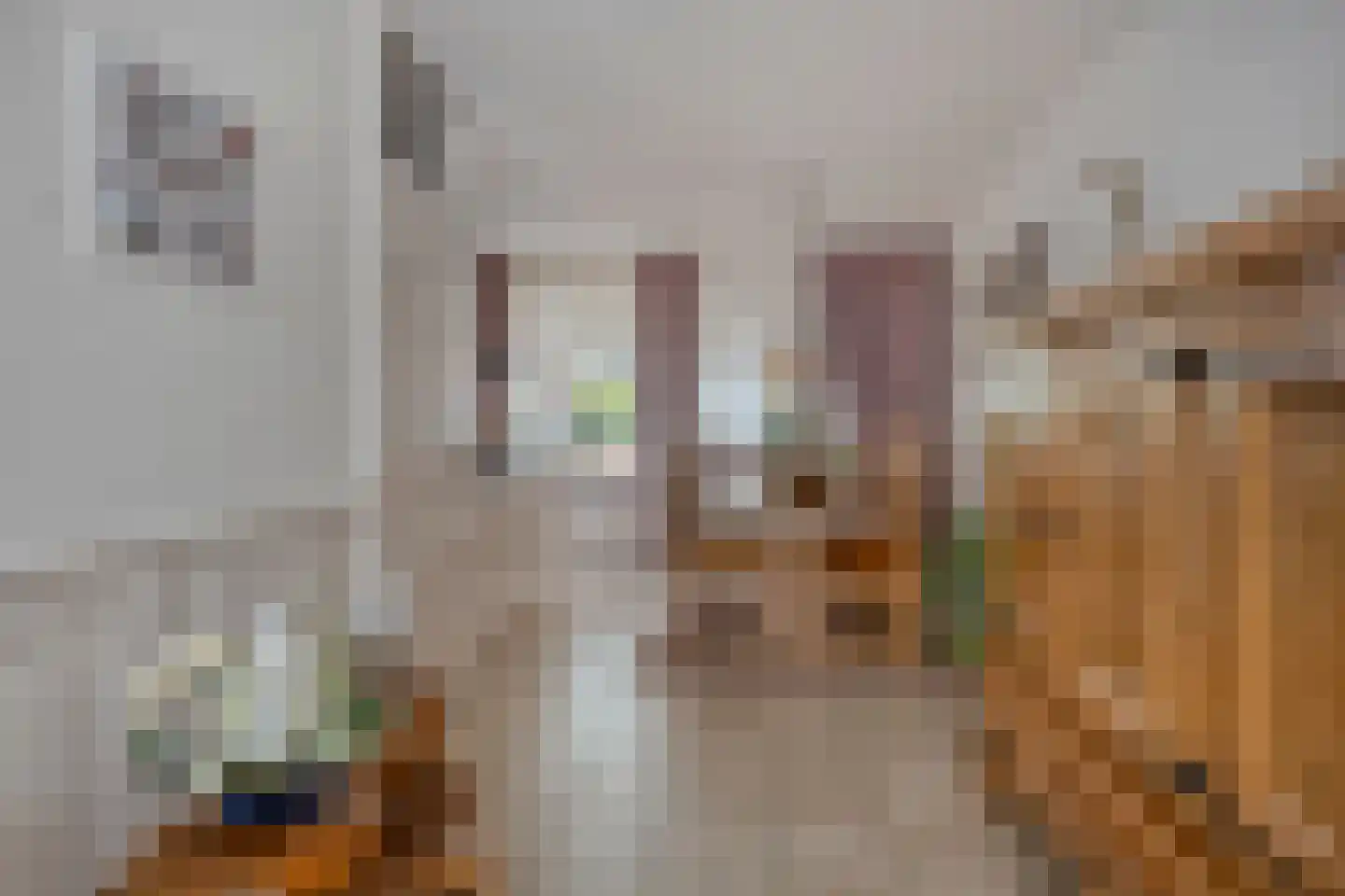 Salderes 103 Best thumbnail 15