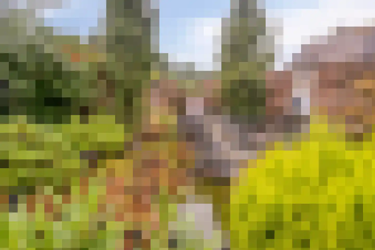 Salderes 103 Best thumbnail 35