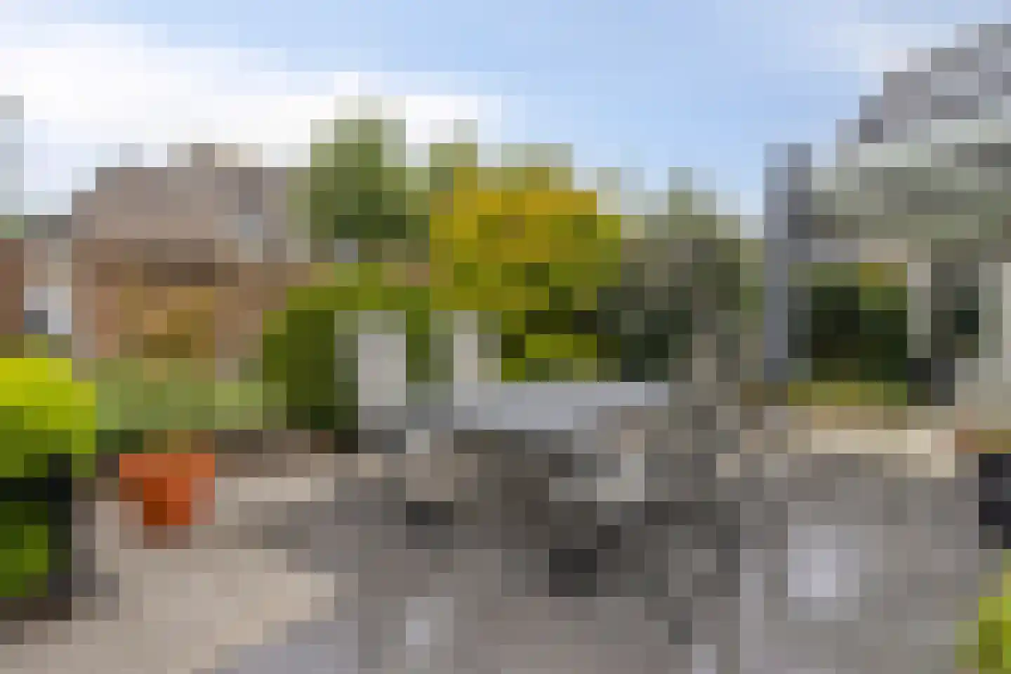Salderes 103 Best thumbnail 36