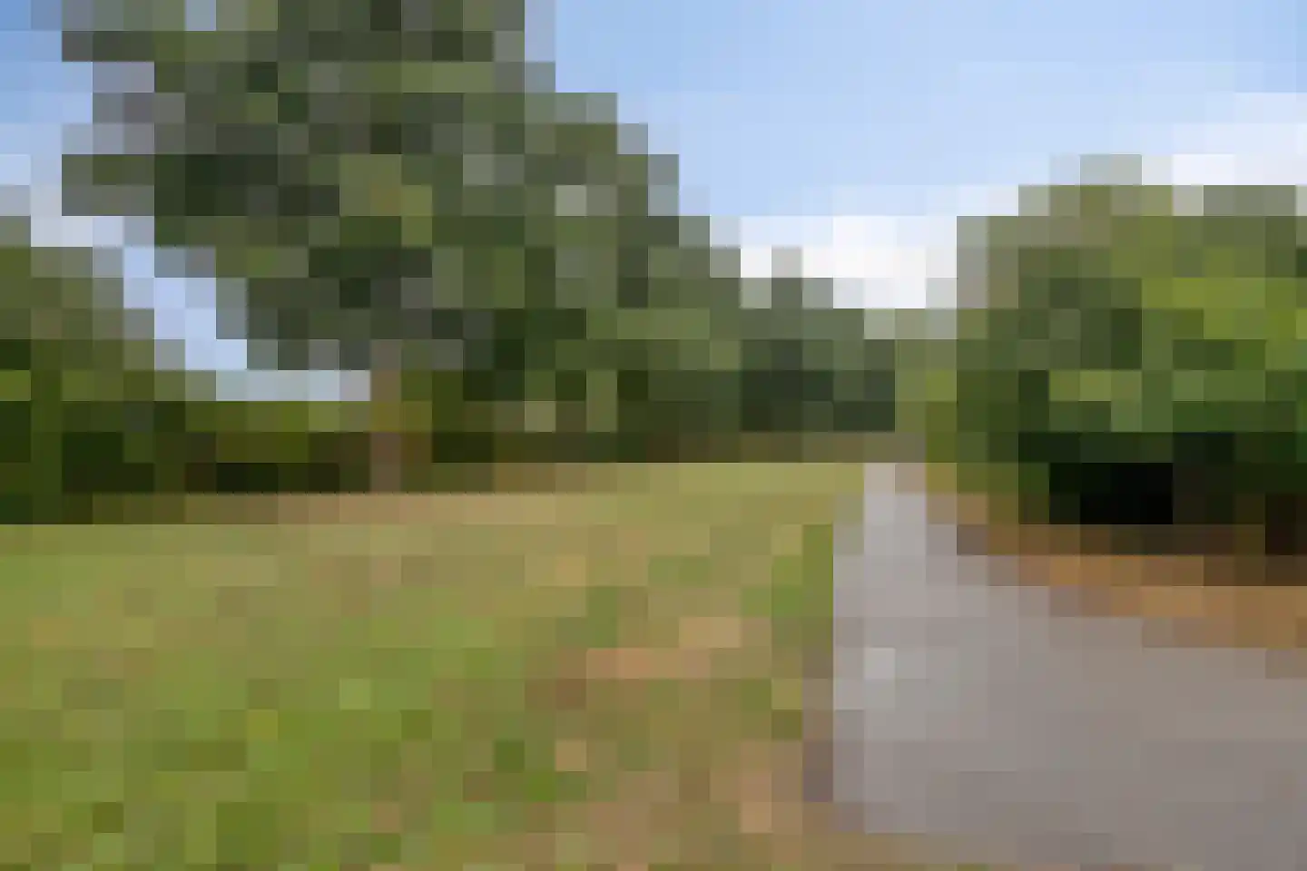 Salderes 103 Best thumbnail 40