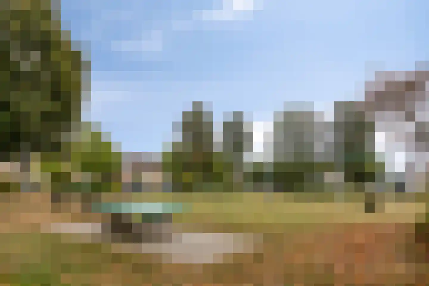 Salderes 103 Best thumbnail 41