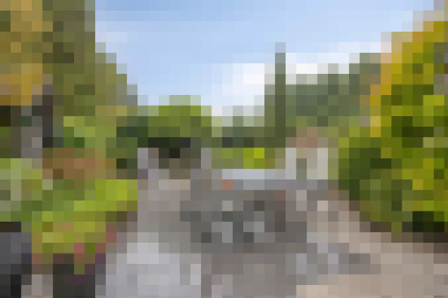 Salderes 103 Best thumbnail 5