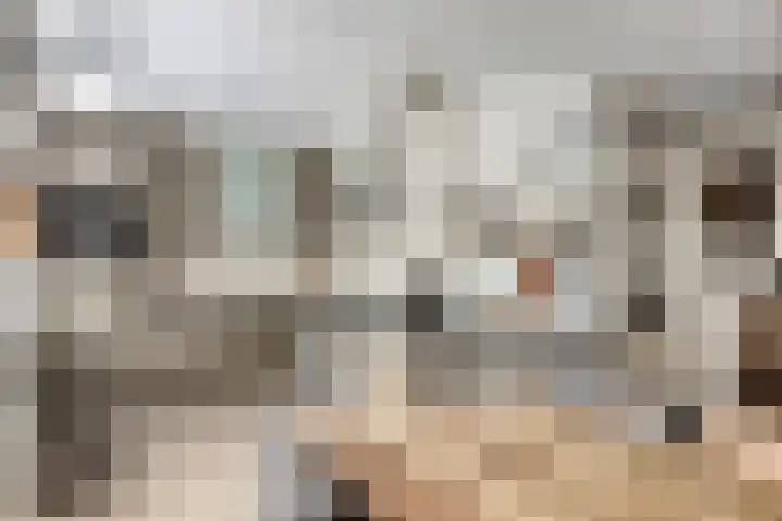 Salderes 120 Best thumbnail 10