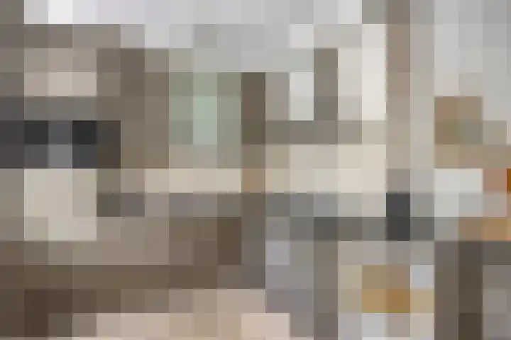 Salderes 120 Best thumbnail 11