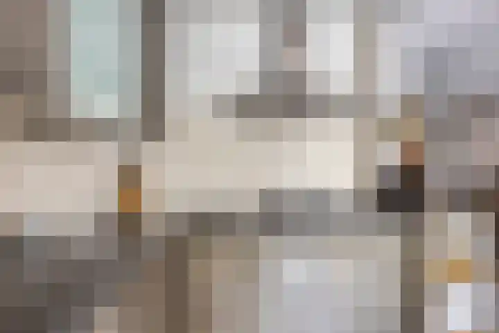 Salderes 120 Best thumbnail 12