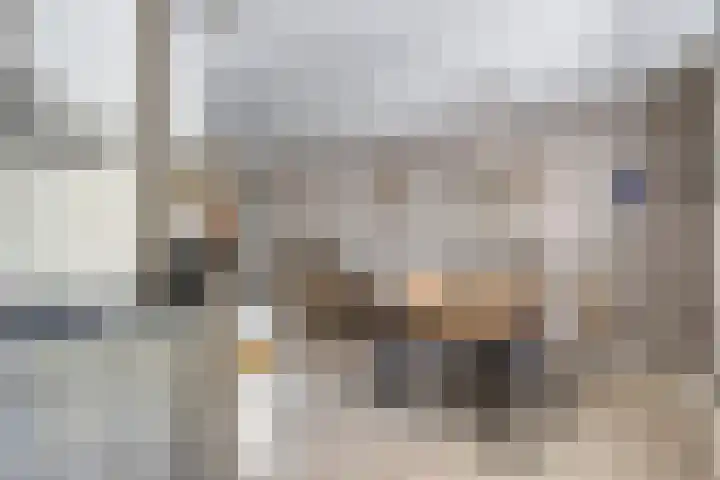 Salderes 120 Best thumbnail 13