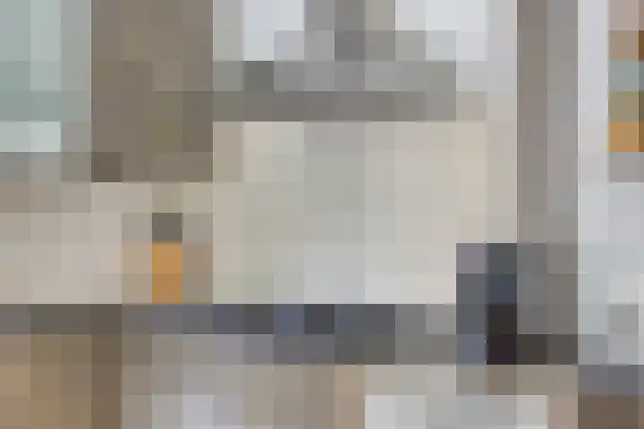 Salderes 120 Best thumbnail 15