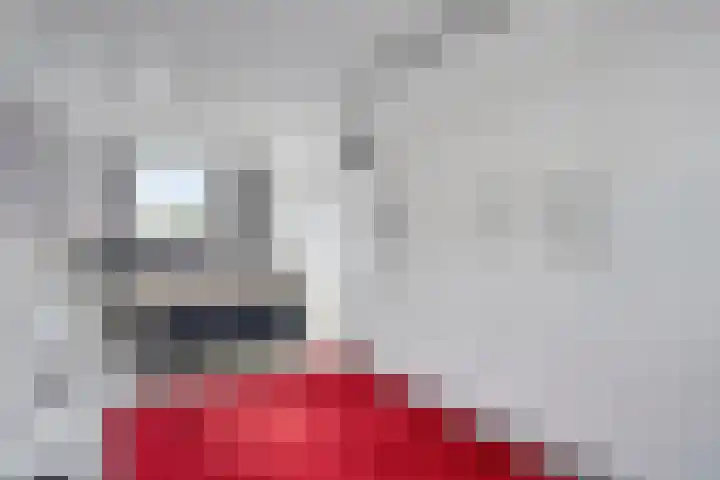 Salderes 120 Best thumbnail 18