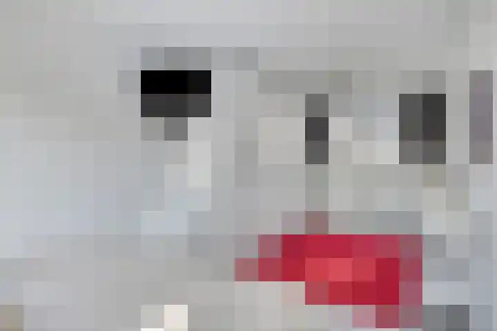 Salderes 120 Best thumbnail 19