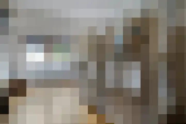 Salderes 120 Best thumbnail 23