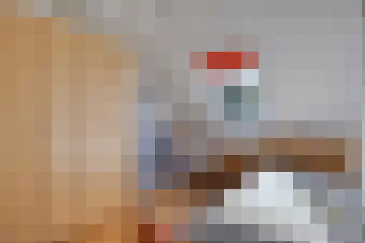 Salderes 120 Best thumbnail 24