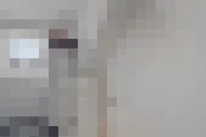 Salderes 120 Best thumbnail 25