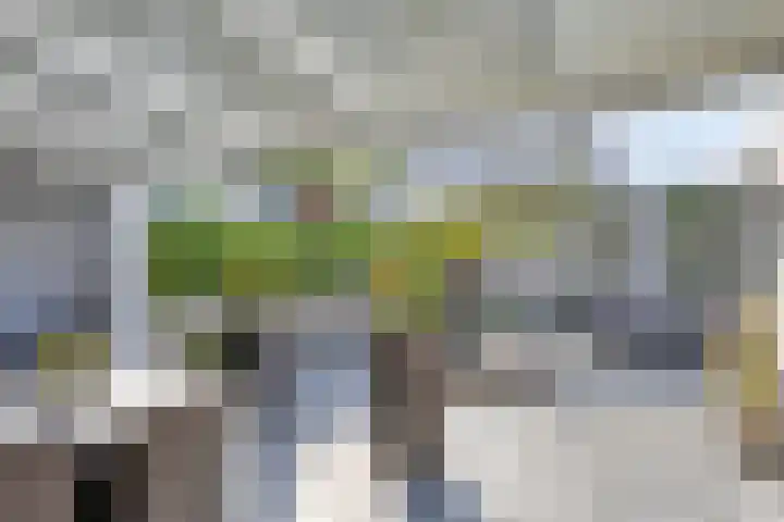 Salderes 120 Best thumbnail 27