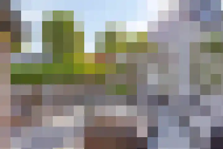 Salderes 120 Best thumbnail 29