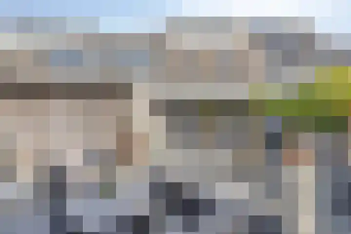 Salderes 120 Best thumbnail 30