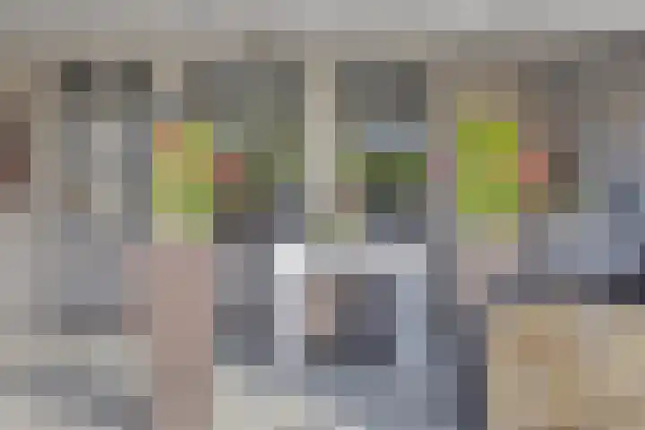 Salderes 120 Best thumbnail 31