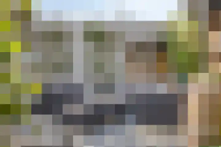 Salderes 120 Best thumbnail 32