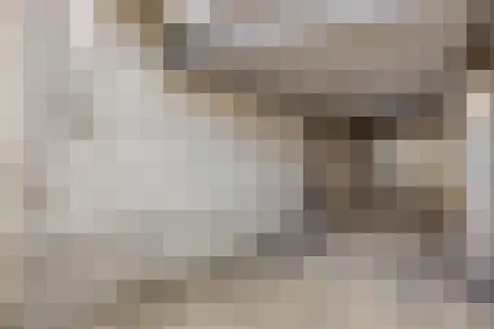 Salderes 120 Best thumbnail 37