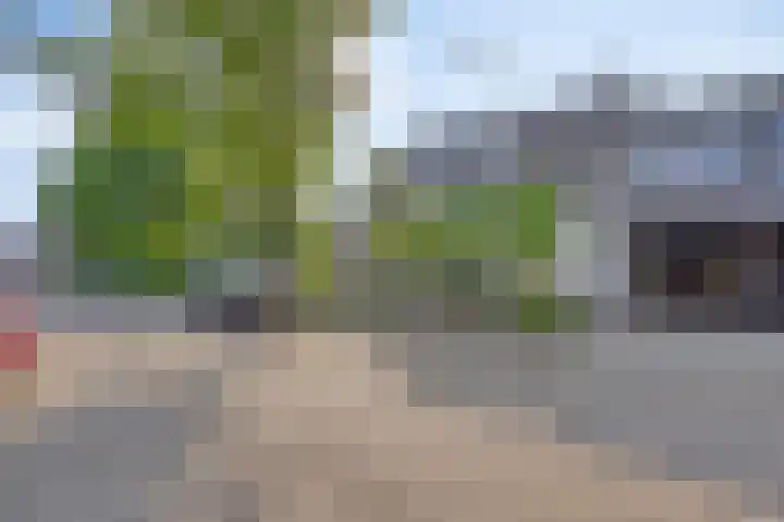 Salderes 120 Best thumbnail 39