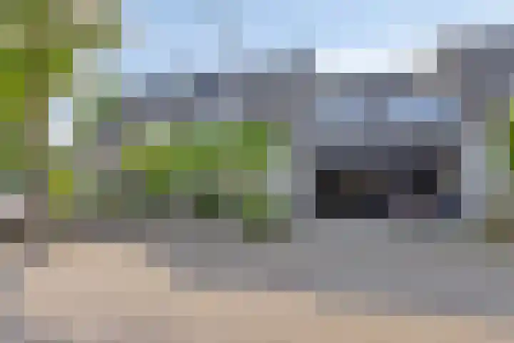 Salderes 120 Best thumbnail 40