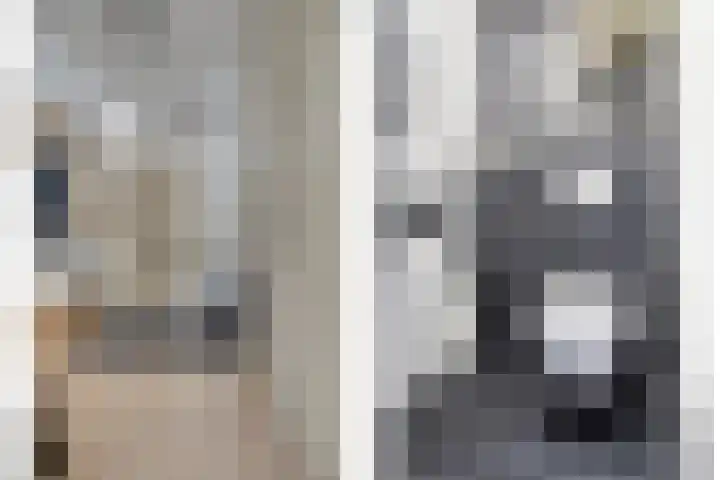 Salderes 120 Best thumbnail 5