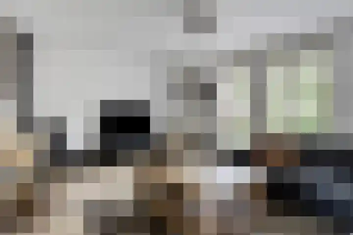 Salderes 120 Best thumbnail 6