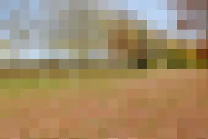 Salderes 138 Best thumbnail 37