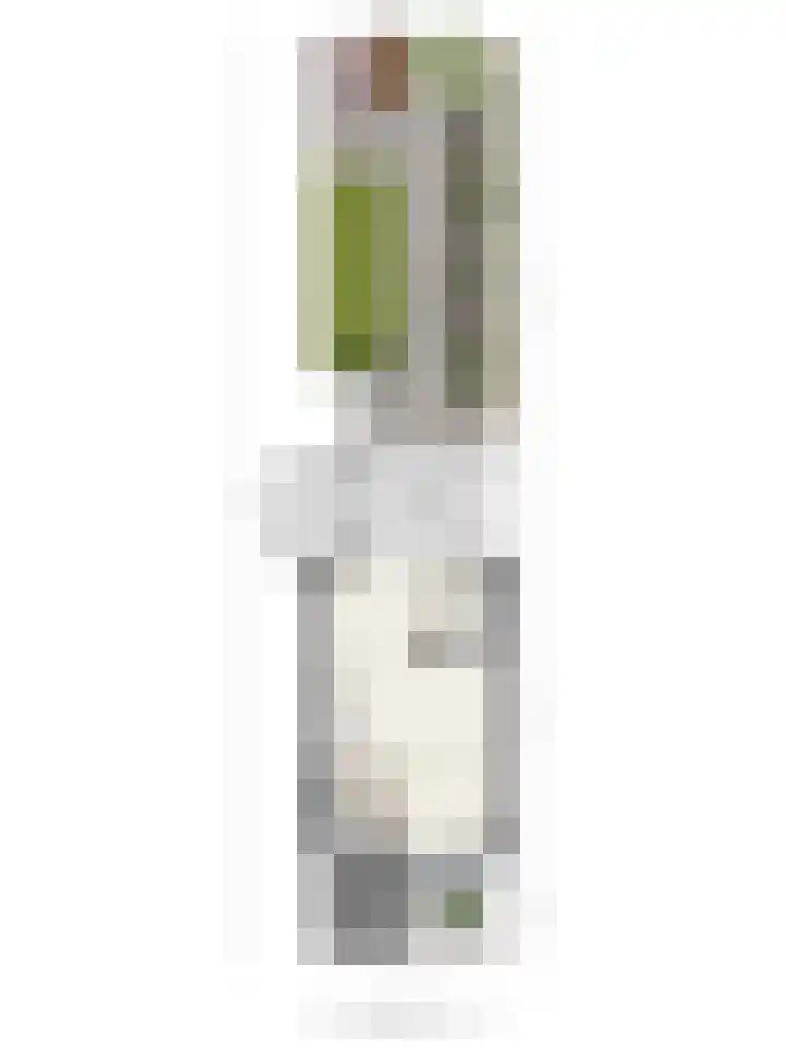 Salderes 138 Best thumbnail 41