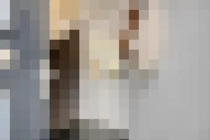 Salderes 138 Best thumbnail 8