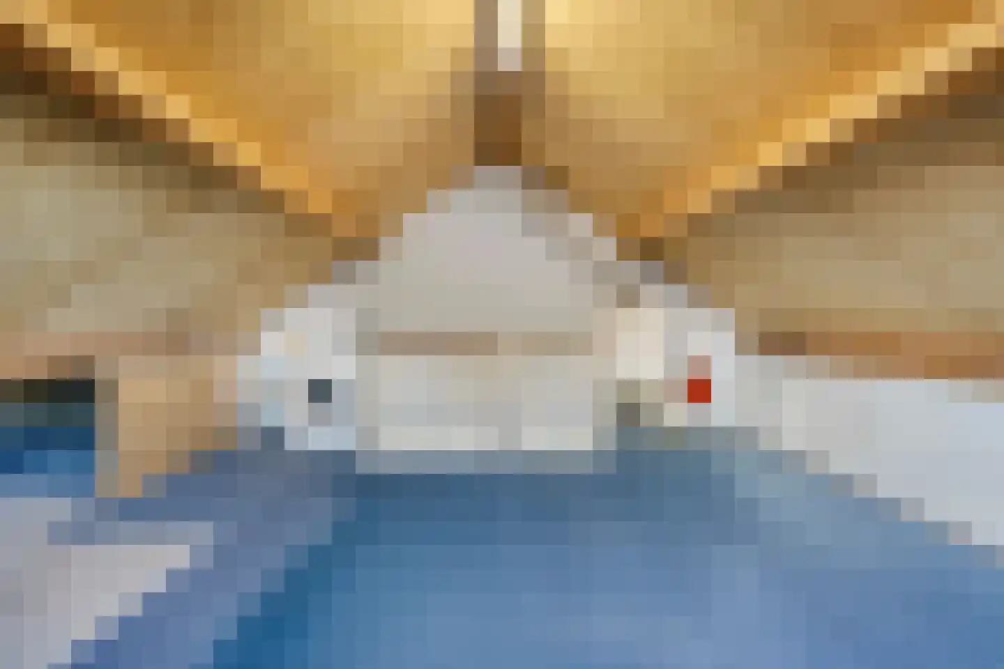 Salderes 22 Best thumbnail 26