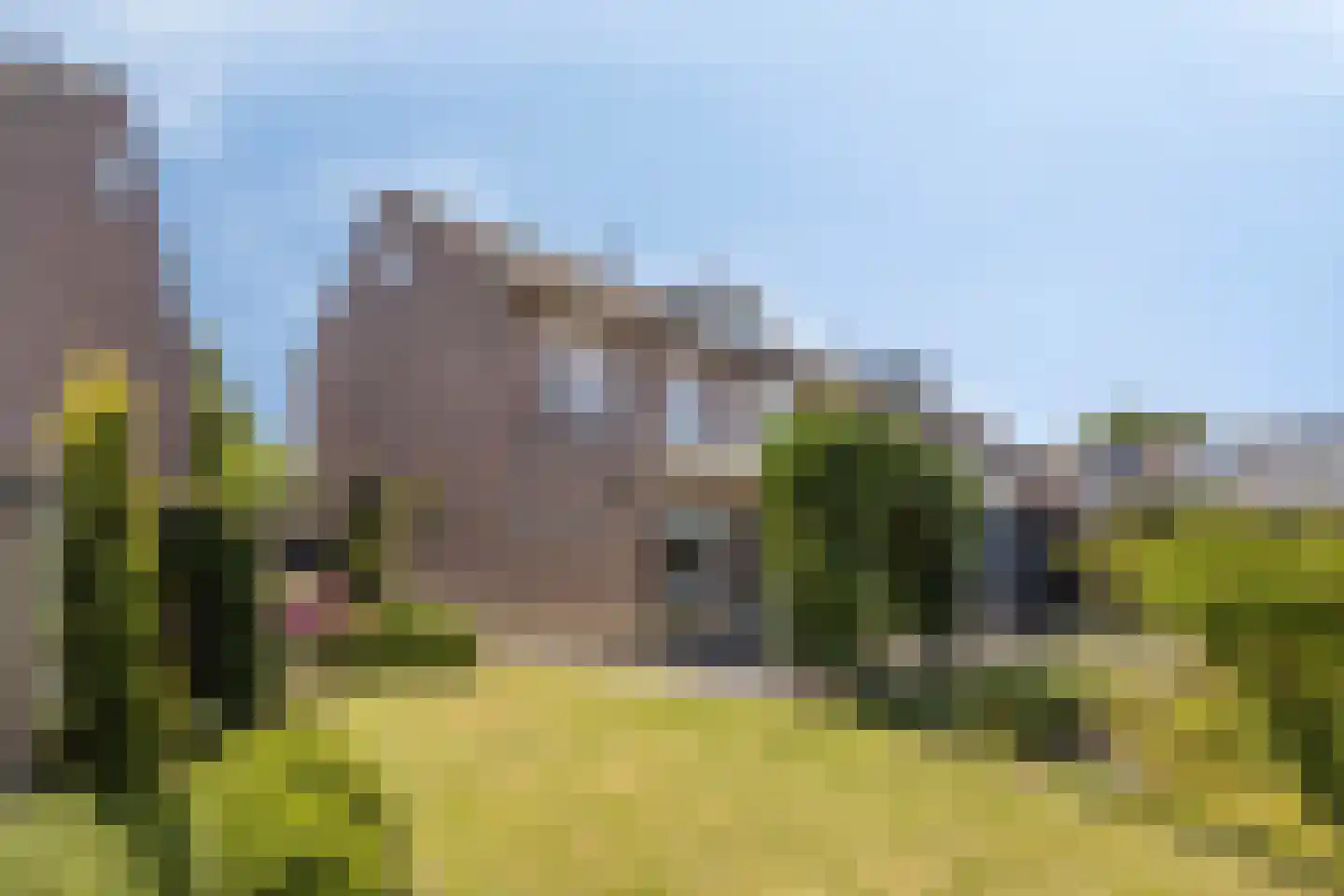 Salderes 22 Best thumbnail 29