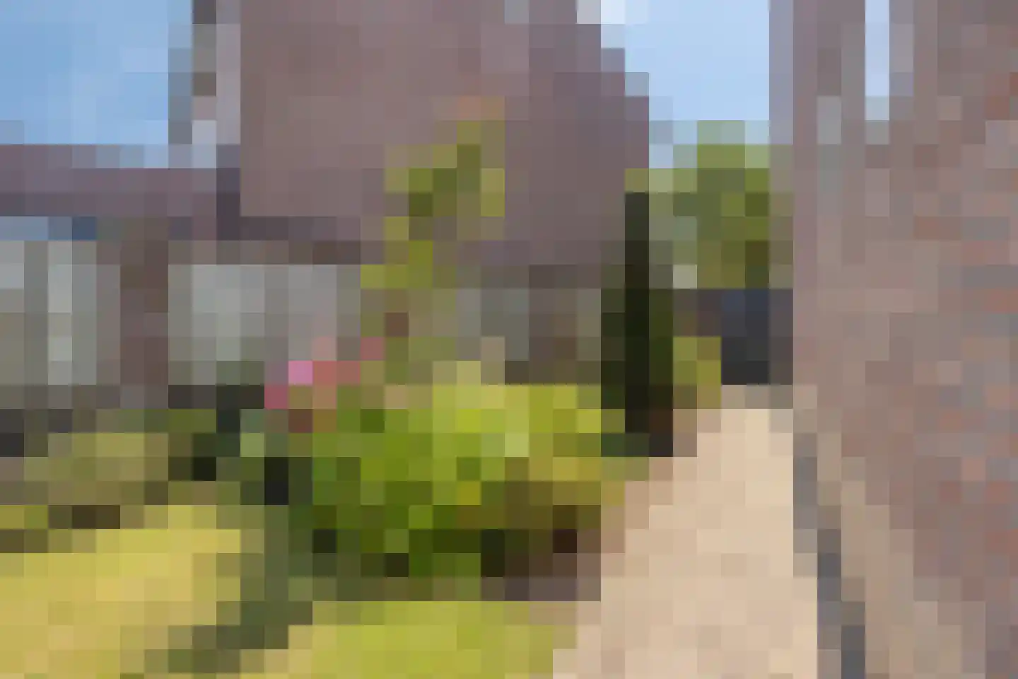 Salderes 22 Best thumbnail 30